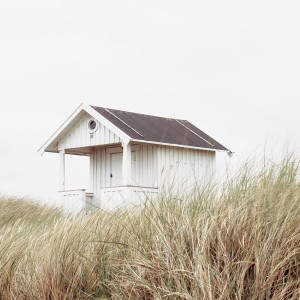 Картина BWY-6 400*400